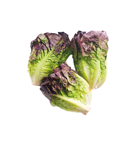 Kırmızı Mini Yedikule